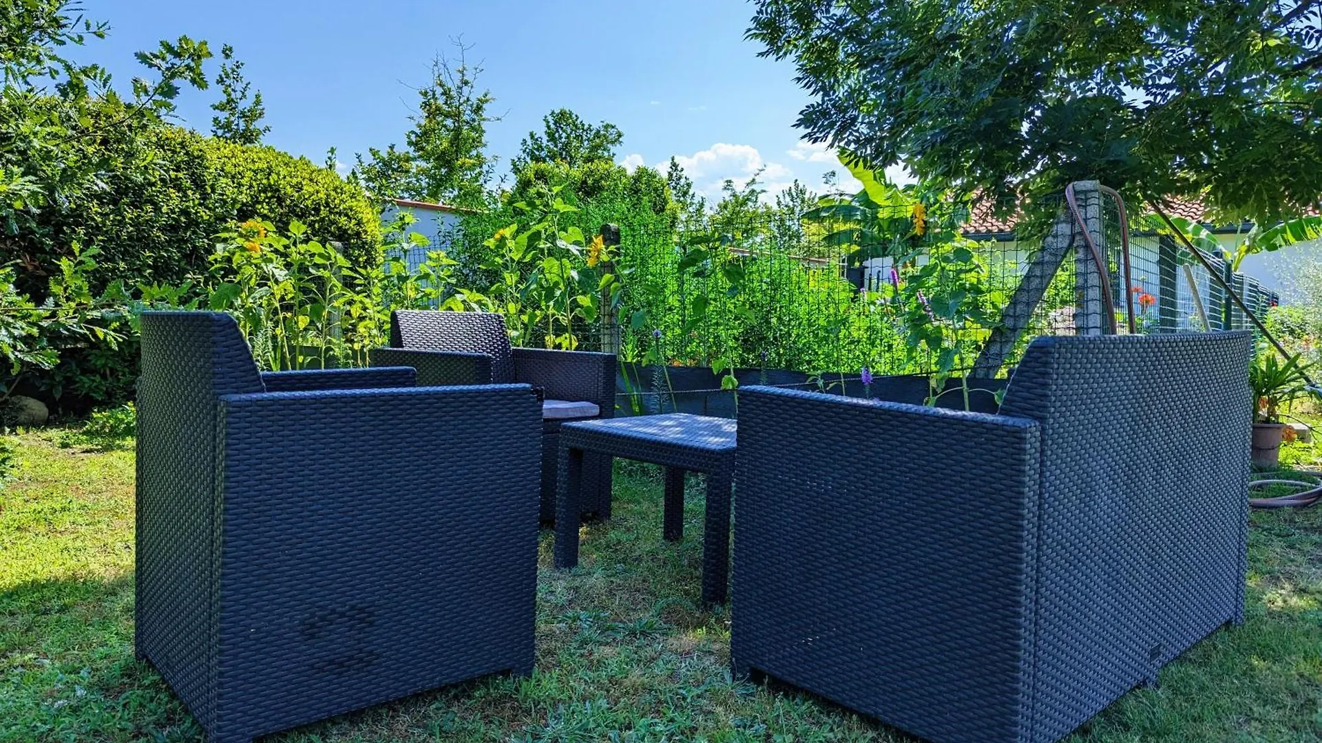 Apartment Studio Independant, Calme, Avec Parking Prive Et Grand Jardin, Proche De Toulouse Villeneuve-Tolosane